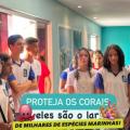 Prefeitura de Maragogi realiza semana do meio ambiente com ações educativas e sustentáveis