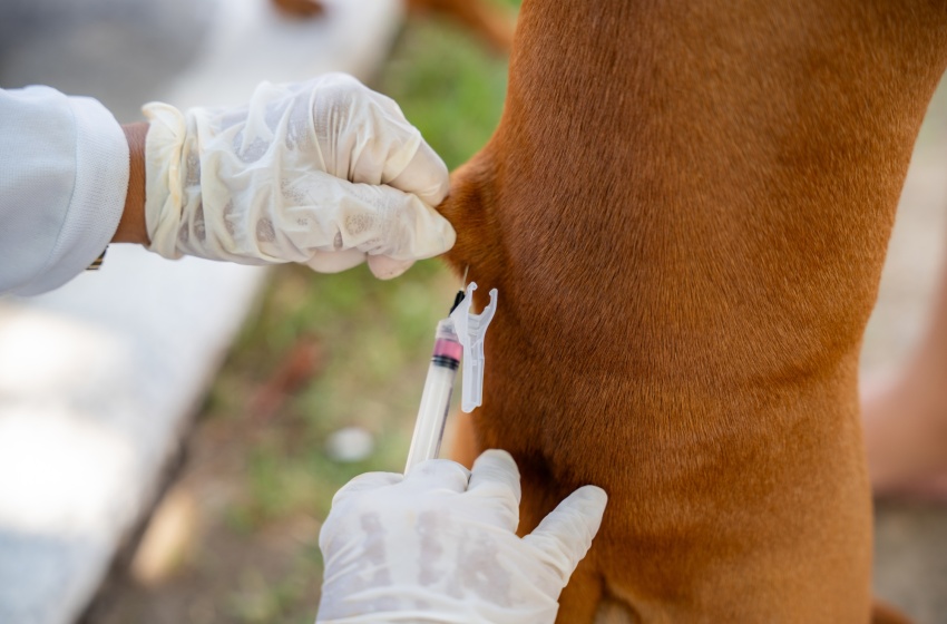 Foto: Diogo Canuto/Secom Maceió