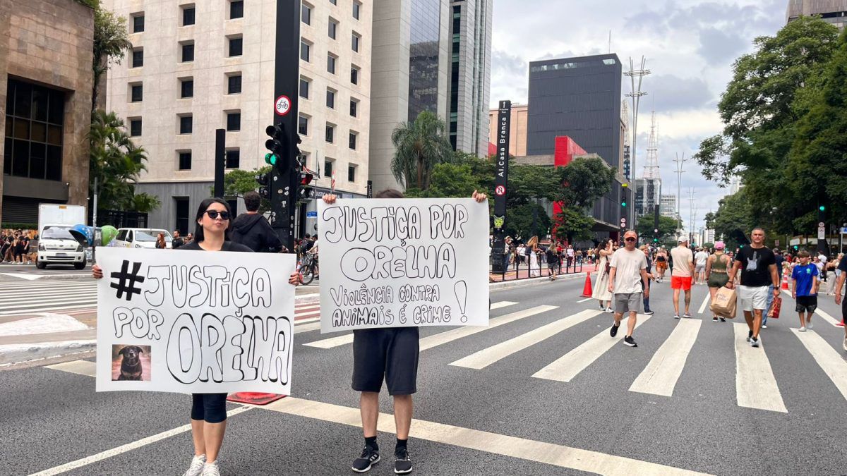 Foto: Guilherme Correia/ND Mais