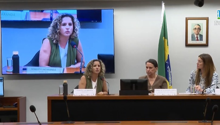 Foto: Reprodução YouTube Câmara dos Deputados.